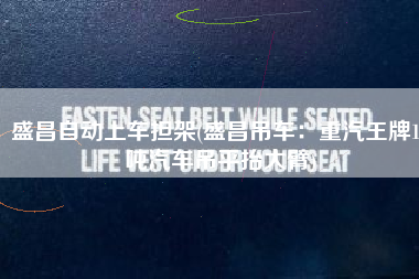 盛昌自动上车担架(盛昌吊车：重汽王牌12吨汽车吊平抬大臂)