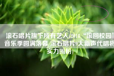 滚石唱片旗下所有艺人(2018“滚回校园”音乐季圆满落幕 滚石唱片9大新声代唱将实力圈粉)
