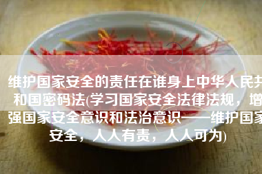 维护国家安全的责任在谁身上中华人民共和国密码法(学习国家安全法律法规，增强国家安全意识和法治意识——维护国家安全，人人有责，人人可为)