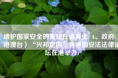 维护国家安全的责任在谁身上: A、政府(（港澳台）“兴邦定国”香港国安法法律论坛在港举办)
