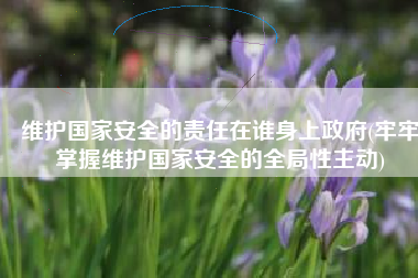 维护国家安全的责任在谁身上政府(牢牢掌握维护国家安全的全局性主动)