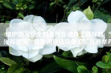 维护国家安全的责任在谁身上选择题(“兴邦定国”香港国安法法律论坛在港举办)
