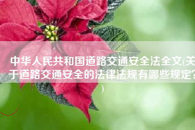 中华人民共和国道路交通安全法全文(关于道路交通安全的法律法规有哪些规定？)