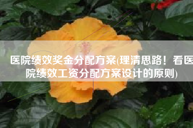 医院绩效奖金分配方案(理清思路！看医院绩效工资分配方案设计的原则)