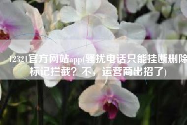 12321官方网站app(骚扰电话只能挂断删除标记拦截？不，运营商出招了)