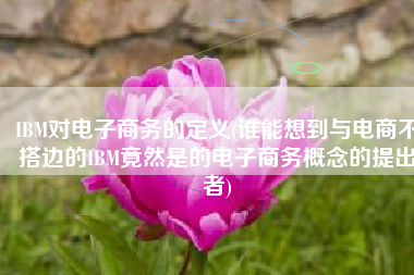 IBM对电子商务的定义(谁能想到与电商不搭边的IBM竟然是的电子商务概念的提出者)