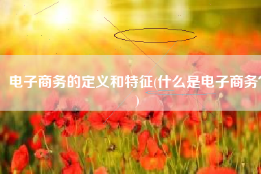 电子商务的定义和特征(什么是电子商务？)