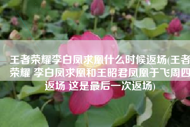王者荣耀李白凤求凰什么时候返场(王者荣耀 李白凤求凰和王昭君凤凰于飞周四返场 这是最后一次返场)