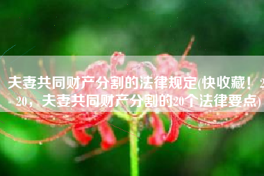 夫妻共同财产分割的法律规定(快收藏！2020，夫妻共同财产分割的20个法律要点)