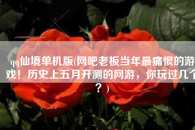 qq仙境单机版(网吧老板当年最痛恨的游戏！历史上五月开测的网游，你玩过几个？)