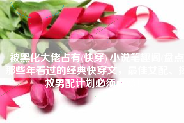 被黑化大佬占有(快穿) 小说笔趣阁(盘点那些年看过的经典快穿文，最佳女配、拯救男配计划必须点赞！)