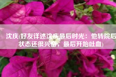 沈庆(好友详述沈庆最后时光：他转院后状态还很兴奋，最后开始吐血)