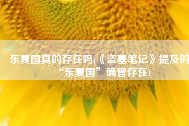 东夏国真的存在吗(《盗墓笔记》提及的“东夏国”确曾存在)