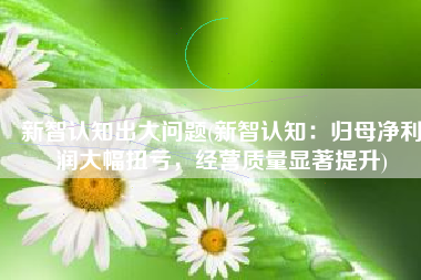 新智认知出大问题(新智认知：归母净利润大幅扭亏，经营质量显著提升)