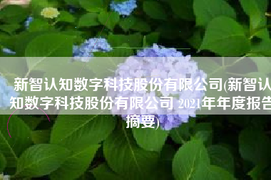 新智认知数字科技股份有限公司(新智认知数字科技股份有限公司 2021年年度报告摘要)