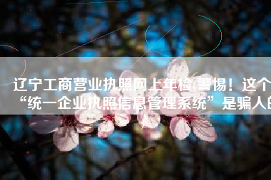 辽宁工商营业执照网上年检(警惕！这个“统一企业执照信息管理系统”是骗人的)
