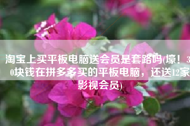 淘宝上买平板电脑送会员是套路吗(壕！300块钱在拼多多买的平板电脑，还送12家影视会员)