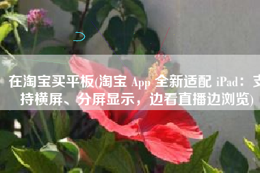 在淘宝买平板(淘宝 App 全新适配 iPad：支持横屏、分屏显示，边看直播边浏览)