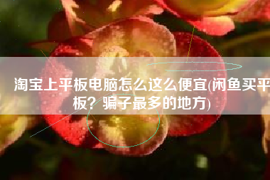 淘宝上平板电脑怎么这么便宜(闲鱼买平板？骗子最多的地方)