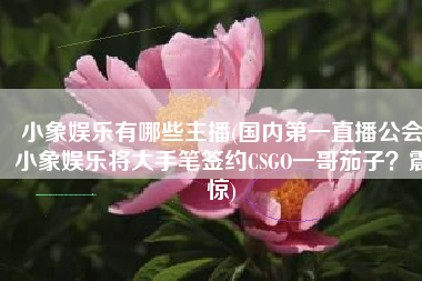 小象娱乐有哪些主播(国内第一直播公会小象娱乐将大手笔签约CSGO一哥茄子？震惊)