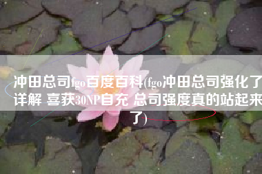 冲田总司fgo百度百科(fgo冲田总司强化了详解 喜获30NP自充 总司强度真的站起来了)