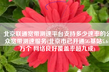 北京联通宽带测速平台支持多少速率的公众宽带测速服务(北京市已开通5G基站5.64万个 网络良好覆盖率超九成)