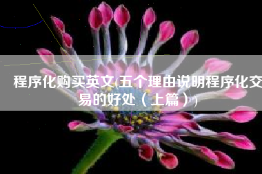 程序化购买英文(五个理由说明程序化交易的好处（上篇）)