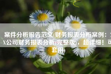 案件分析报告范文(财务报表分析案例：XX公司财务报表分析(完整版)，超详细！可套用)