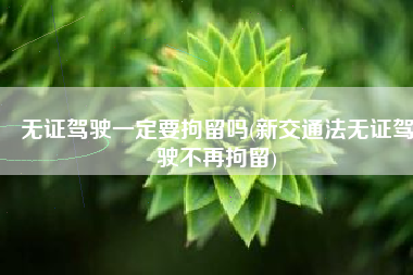 无证驾驶一定要拘留吗(新交通法无证驾驶不再拘留)