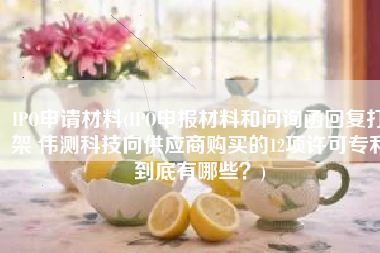 IPO申请材料(IPO申报材料和问询函回复打架 伟测科技向供应商购买的12项许可专利到底有哪些？)