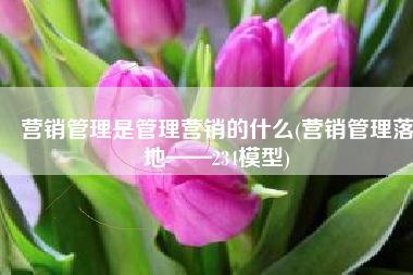 营销管理是管理营销的什么(营销管理落地——234模型)