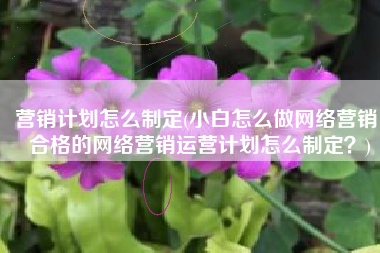 营销计划怎么制定(小白怎么做网络营销，合格的网络营销运营计划怎么制定？)