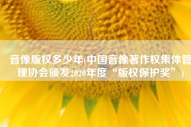 音像版权多少年(中国音像著作权集体管理协会颁发2020年度“版权保护奖”)