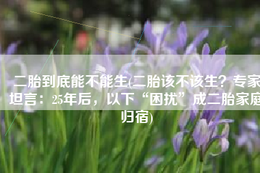 二胎到底能不能生(二胎该不该生？专家坦言：25年后，以下“困扰”成二胎家庭归宿)
