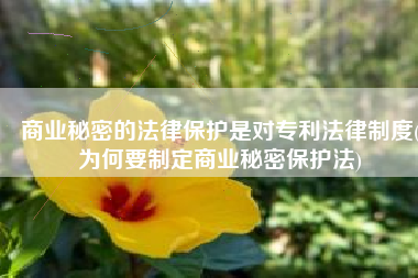 商业秘密的法律保护是对专利法律制度(为何要制定商业秘密保护法)