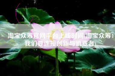 淘宝众筹官网平台上线时间(淘宝众筹：我们要连接创新与消费者)