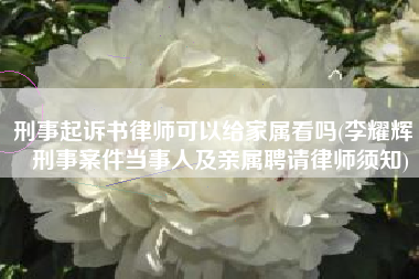 刑事起诉书律师可以给家属看吗(李耀辉｜刑事案件当事人及亲属聘请律师须知)
