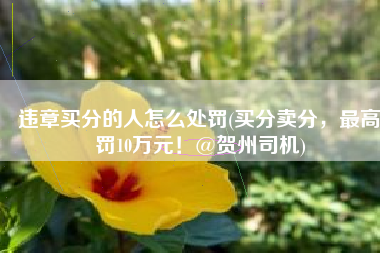 违章买分的人怎么处罚(买分卖分，最高罚10万元！@贺州司机)