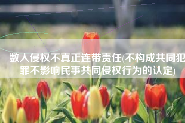 数人侵权不真正连带责任(不构成共同犯罪不影响民事共同侵权行为的认定)