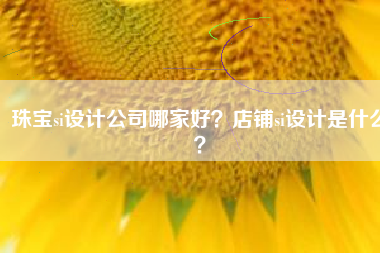 珠宝si设计公司哪家好？店铺si设计是什么？