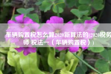 车辆购置税怎么算2020新算法的(2020税务师 税法一（车辆购置税）)