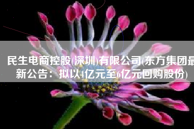 民生电商控股(深圳)有限公司(东方集团最新公告：拟以4亿元至6亿元回购股份)