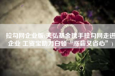 拉勾网企业版(天弘基金携手拉勾网走进企业 工资宝助力白领“涨薪又省心”)