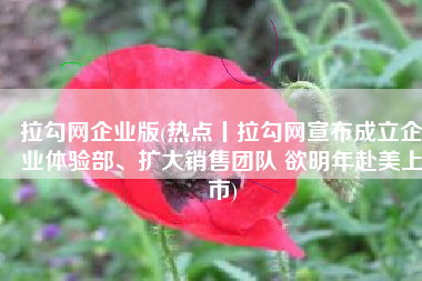 拉勾网企业版(热点丨拉勾网宣布成立企业体验部、扩大销售团队 欲明年赴美上市)