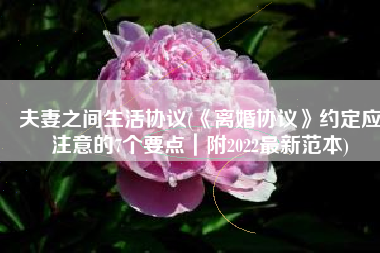 夫妻之间生活协议(《离婚协议》约定应注意的7个要点｜附2022最新范本)