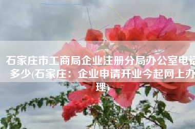 石家庄市工商局企业注册分局办公室电话多少(石家庄：企业申请开业今起网上办理)