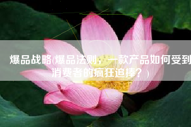 爆品战略(爆品法则，一款产品如何受到消费者的疯狂追捧？)