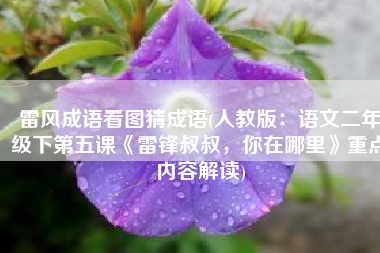 雷风成语看图猜成语(人教版：语文二年级下第五课《雷锋叔叔，你在哪里》重点内容解读)