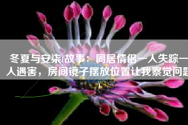 冬夏与安柒(故事：同居情侣一人失踪一人遇害，房间镜子摆放位置让我察觉问题)