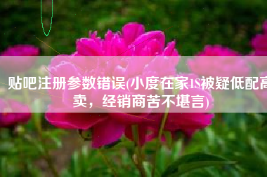 贴吧注册参数错误(小度在家1S被疑低配高卖，经销商苦不堪言)